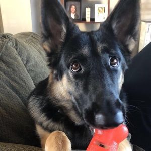 Meet your Posher, Erin